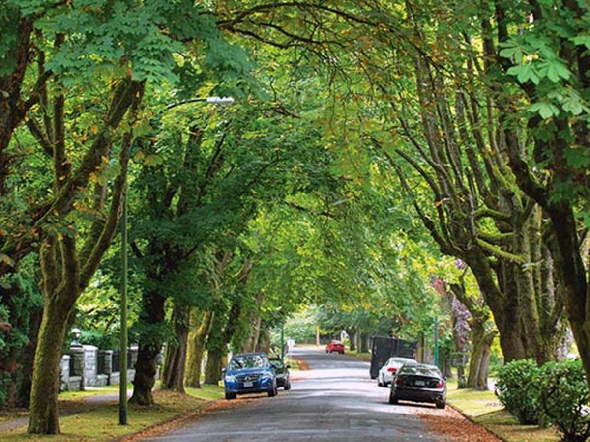 Heritage home street in Shaughnessy, Vancouver, surrounded by mature trees—ideal for discreet smart home integration.